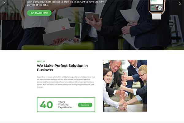 WordPress corporate theme for business